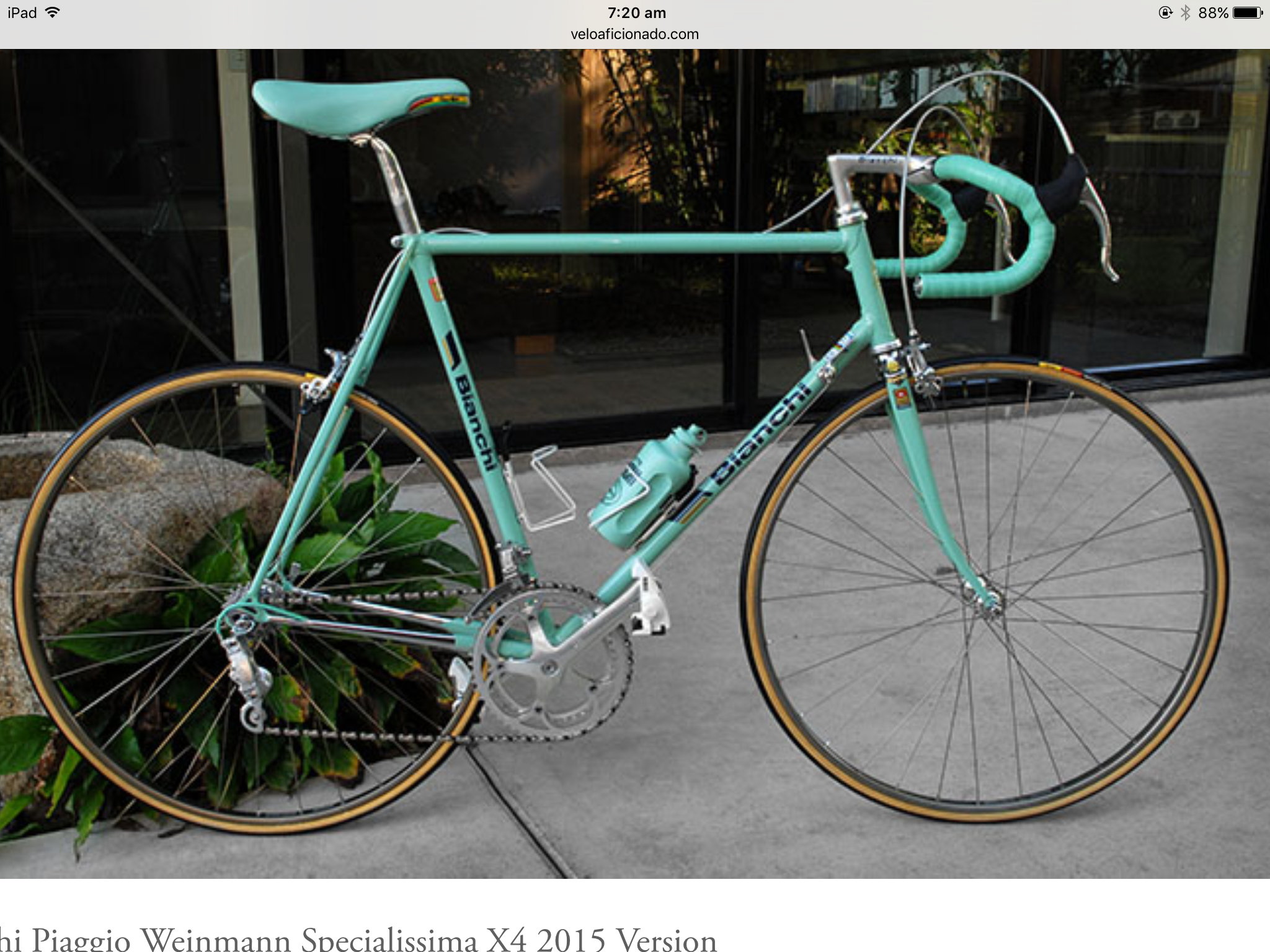 Bianchi Team Weinmann Replica Millfield Velo